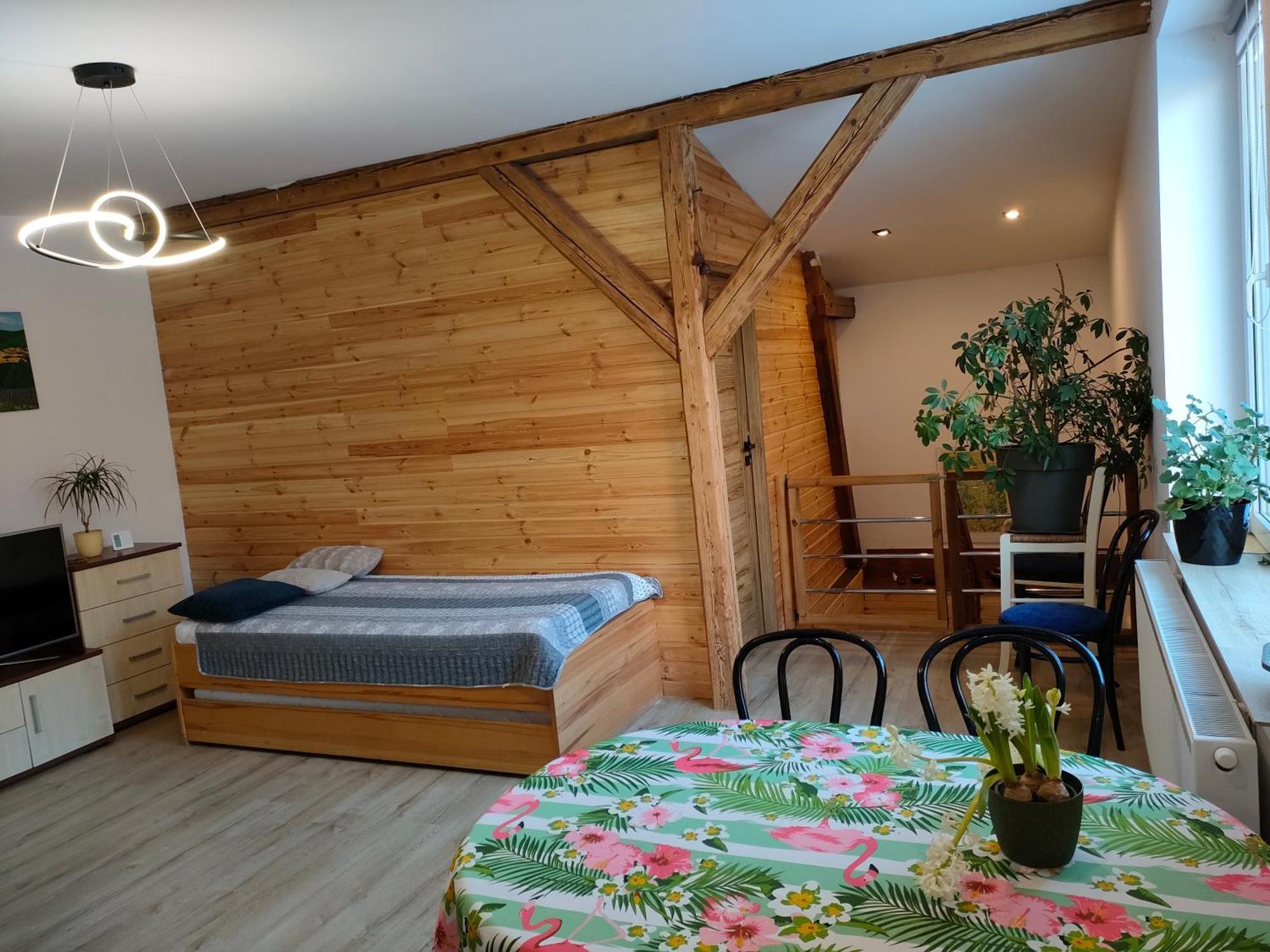 Zelazno Aparament Brzozowiskoアパートメント 部屋 写真